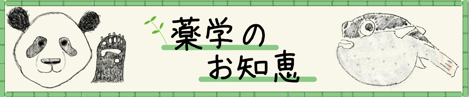 薬学のお知恵